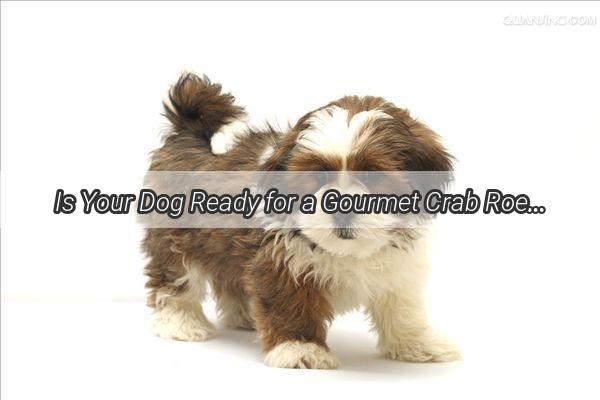 Is Your Dog Ready for a Gourmet Crab Roe Delight Find Out Now